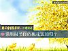 《清明时节你的<i>桃花</i>运如何？》测试