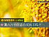 《测六月份你<i>适合</i>买房子吗？》测试