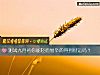 《测试九月初你能轻而易举的得到财运吗？》测试