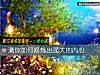 《测你如何修炼出强大的<i>内心</i>》测试