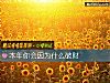《本年你会因为什么破财》测试