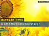 《你想不想知道你<i>朋友</i>圈的品质如何？》测试