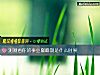 《测测看你的事业巅峰期是<i>什么时候</i>》测试