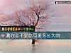 《测你是不是吃<i>可爱</i>多长大的》测试