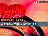 《握鼠标姿势看清你的<i>性格</i>》测试