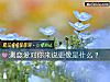 《测<i>恋爱</i>对你来说更像是什么？》测试