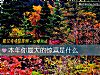《<i>本年</i>你最大的惊喜是什么》测试