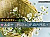 《<i>本年</i>十二月是你的结婚吉月吗？》测试