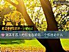 《测<i>本年</i>恋人给你准备的第一个惊喜是什么》测试