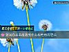 《测试你未来能遇到什么样性格的<i>老公</i>》测试