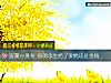 《浪漫vs现实 你的余生给了爱情还是<i>金钱</i>》测试