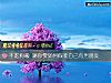 《不吃狗粮 测你要如何假装自己有男<i>朋友</i>》测试