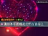 《测你本年的<i>桃花</i>会烂在谁身上》测试