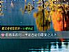 《你将来的<i>另一半</i>是否是你最爱之人？》测试