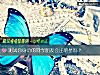 《测试你身边的同学<i>朋友</i>会出明星吗？》测试