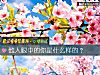 《他人<i>眼中</i>的你是什么样的？》测试