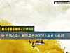 《怦然心动！测你最喜欢的<i>男人</i>是什么样的》测试