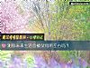 《测你未来<i>生活</i>会被父母所左右吗？》测试