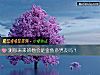 《测你未来的他会是金鱼系<i>男友</i>吗？》测试