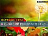 《测一测你在感情里会不会因为不善于表达引起<i>矛盾</i>》测试