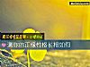 《测你的正缘性格<i>长相</i>如何》测试