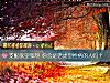 《支配<i>欲望</i>强烈 你会是老虎型性格的人吗？》测试