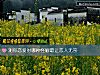 《测你<i>恋爱</i>时哪种怪癖最让恋人无奈》测试
