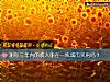 《测你三年内的收入能在一线城市买房吗？》测试