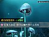 《在<i>爱人</i>面前 你可以魔性到什么程度》测试