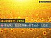 《不坑队友 在王者荣耀中你最<i>适合</i>什么位置呢？》测试
