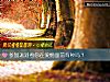 《参加派对看你在<i>爱情</i>面前有种吗？》测试