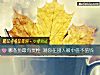 《哪条鱼最有灵性 测你在别人<i>眼中</i>值不值钱》测试