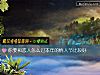 《你要和恋人怎么过本年的<i>情人节</i>比较好》测试