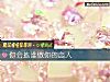 《你会拣谁做你的<i>恋人</i>》测试