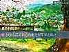 《30岁以前的你会有能力买车买房吗？》测试