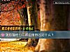 《测你输给小三的直接<i>原因</i>是什么？》测试