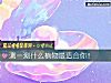 《测一测什么植物最<i>适合</i>你！》测试