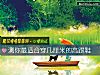 《测你最<i>适合</i>穿几厘米的高跟鞋》测试
