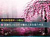 《测测你人际<i>交往</i>中哪些人和你最合得来》测试