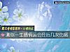 《测你<i>一生</i>感情运会经历几次伤痛》测试