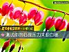 《测试你的心理<i>压力</i>来源自哪》测试