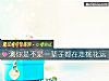 《测你是不是一辈子都在走<i>桃花</i>运》测试
