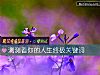 《测测看你的<i>人生</i>终极关键词》测试