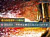 《测你的<i>另一半</i>性格是霸道总裁还是守护天使》测试