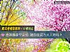 《<i>喜欢</i>哪款平安扣 测你能成为大人物吗？》测试