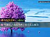 《与朋友之间闹<i>矛盾</i>了你会怎么解决》测试