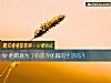 《他愿意为了你放弃优越的<i>生活</i>吗？》测试