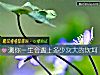 《测你<i>一生</i>会遇上多少次大的坎坷》测试