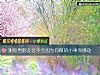 《测你男<i>朋友</i>会不会因为你做的小事而感动》测试
