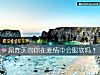 《屌炸天的你在<i>爱情</i>中会服软吗？》测试